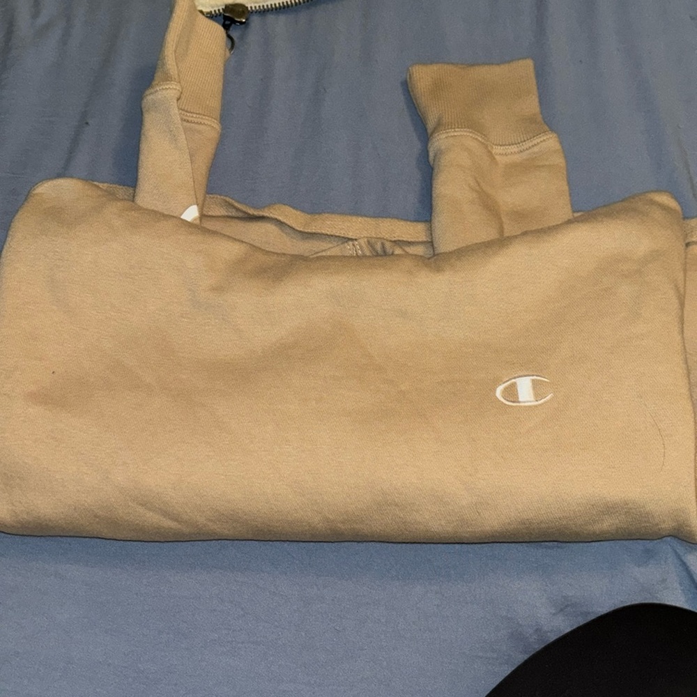 Champion cropped hooded sweatshirt